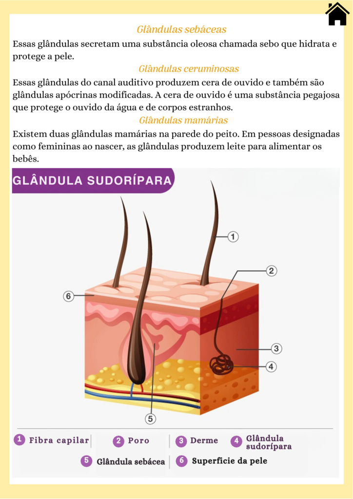 Sistema Tegumentar