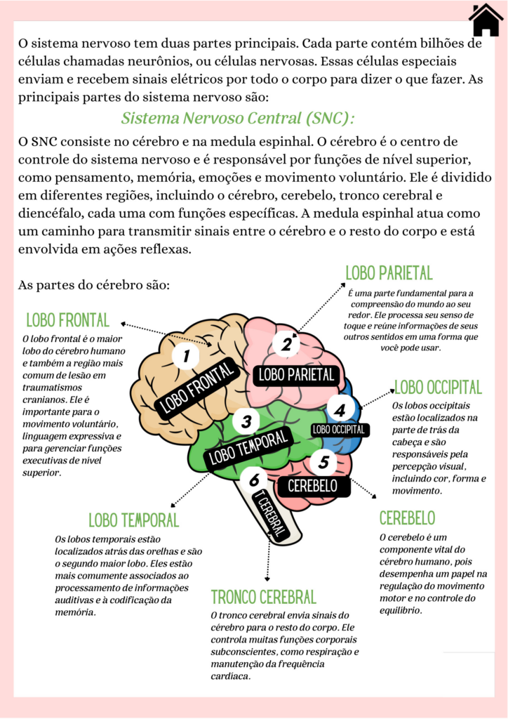 Sistema Nervoso