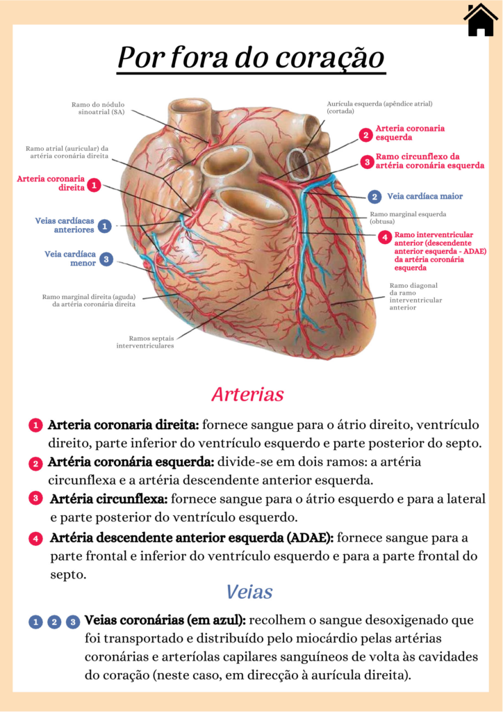 Coração