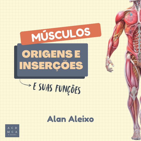Anatomia Muscular